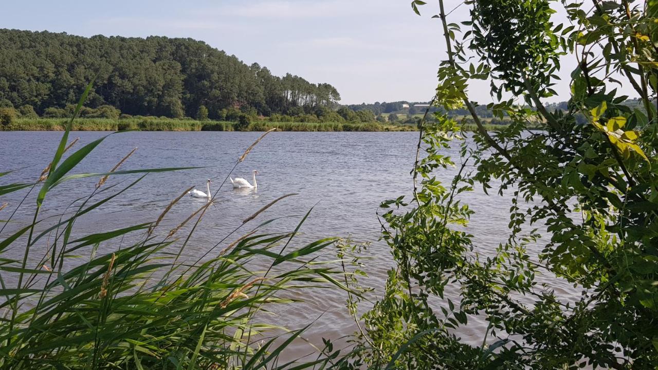 BELLE VISNONIA meublé de caractère Sud Morbihan Béganne Exterior foto